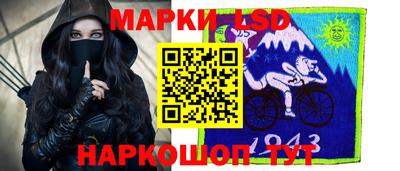 a pvp Новодвинск