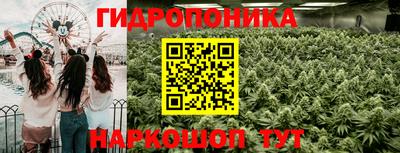 a pvp Новодвинск