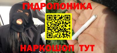 таблы Новозыбков