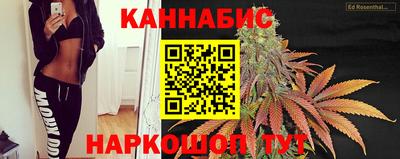 прущие грибы Новокубанск