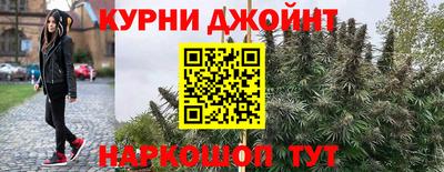 прущие грибы Новокубанск