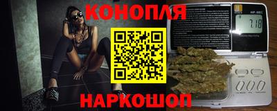 a pvp Новодвинск
