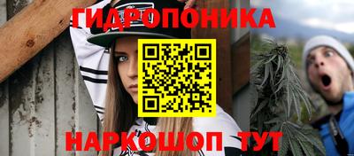 a pvp Новодвинск