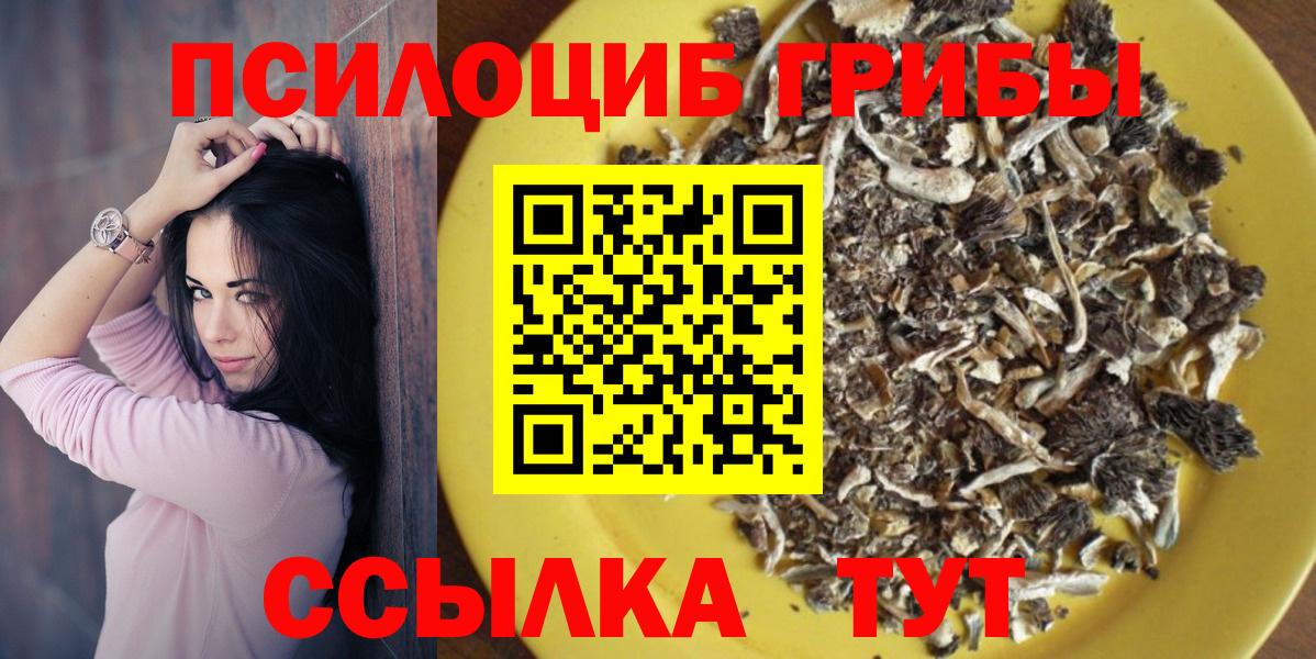 Торжок  Псилоцибиновые грибы мицелий  Вход с VPN  Псилоцибиновые грибы ЛСД 