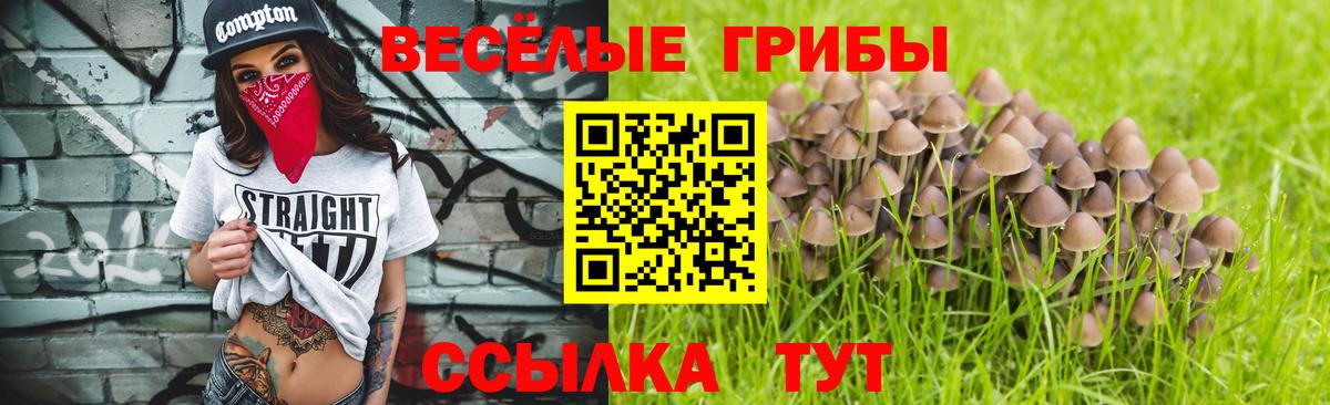 Псилоцибиновые грибы GOLDEN TEACHER Торжок