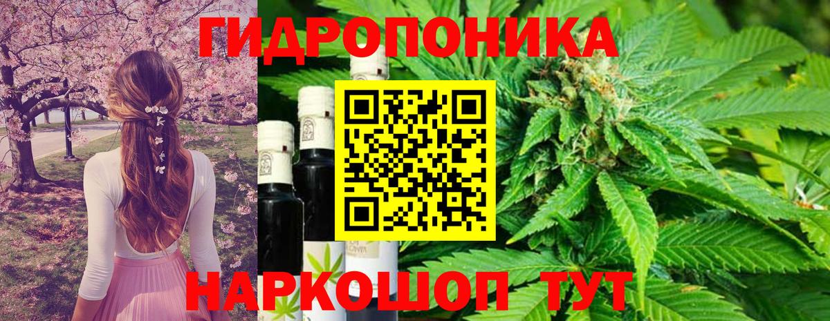 МАРИХУАНА планчик  Каннабис LSD WEED  Торжок  Вход с VPN  Канабис план  Бошки марихуана SATIVA & INDICA 